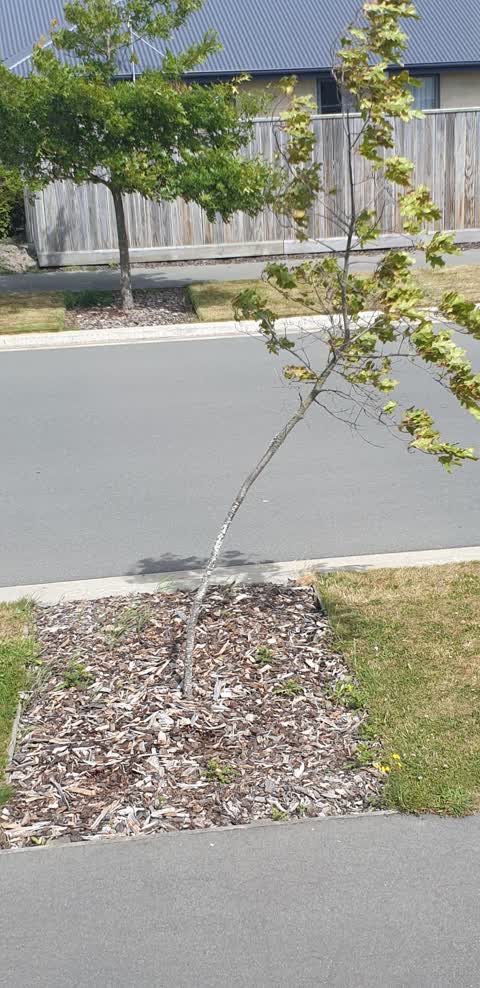 Parks, a report photo
