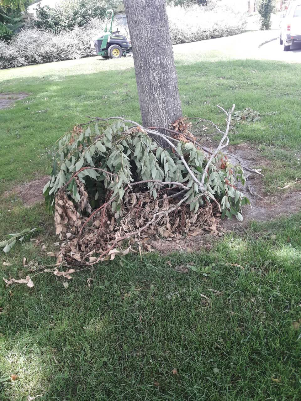 The photograph attached to this parks report