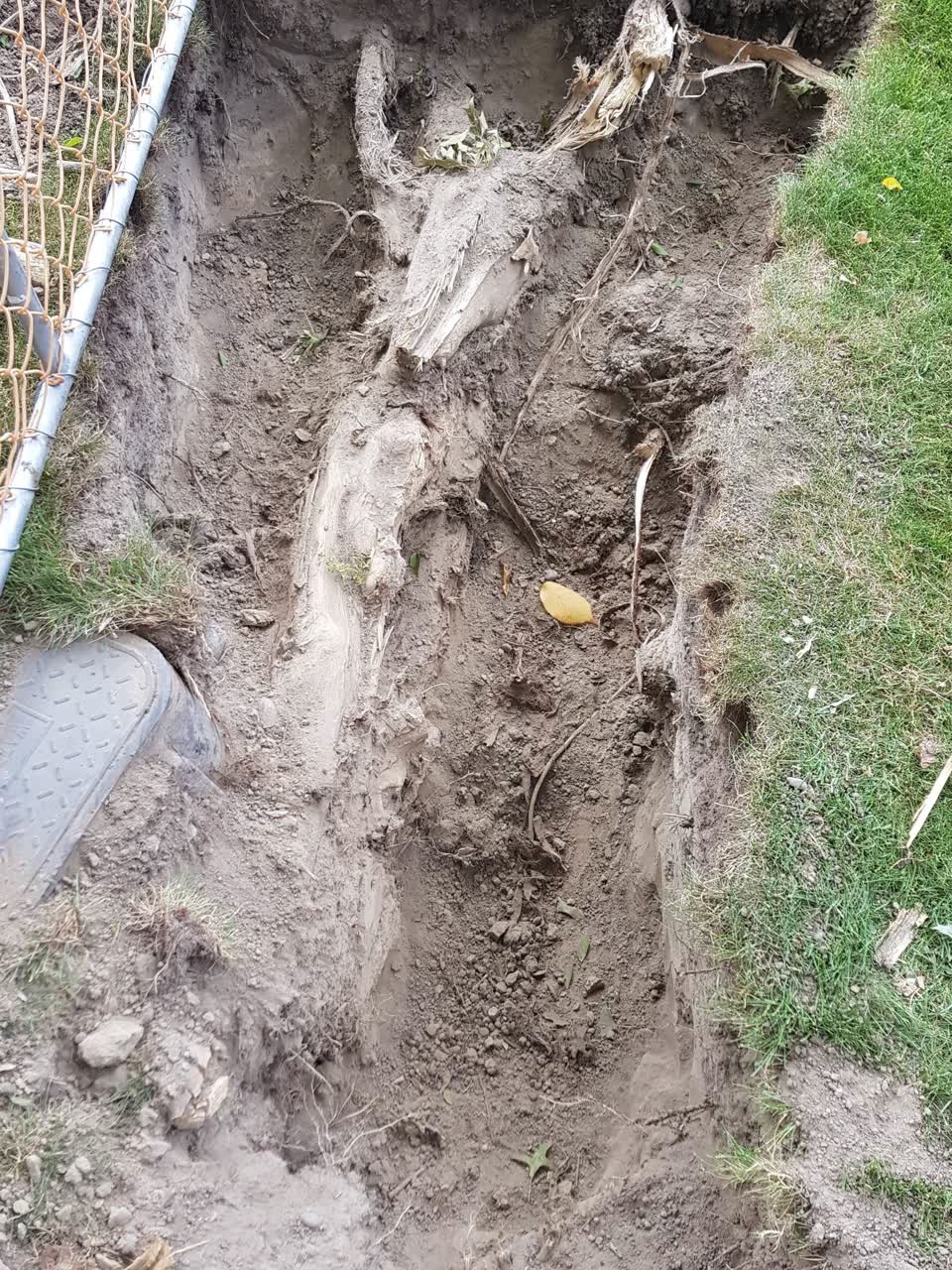 The photograph attached to this parks report