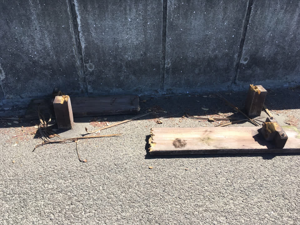 The photograph attached to this parks report