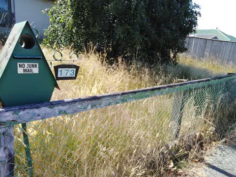 Rubbish/Recycling, a report photo
