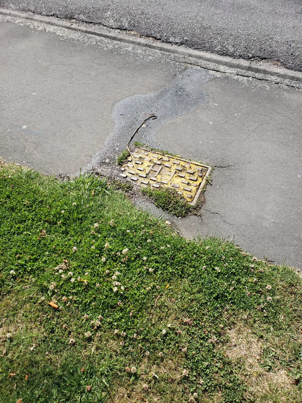 The photograph attached to this flooding report