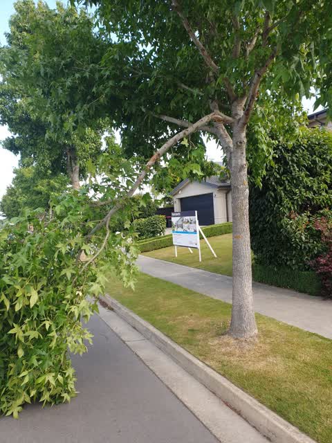 Roading/Streets, a report photo