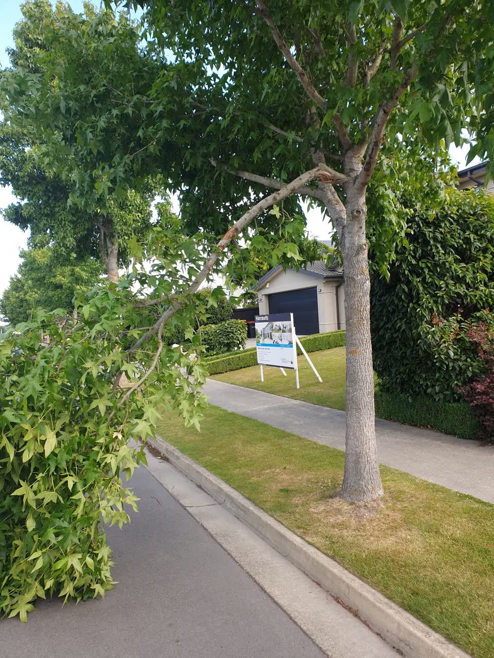 The photograph attached to this roading/streets report