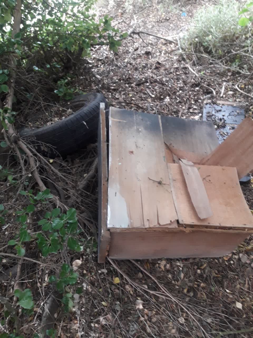 The photograph attached to this rubbish/recycling report