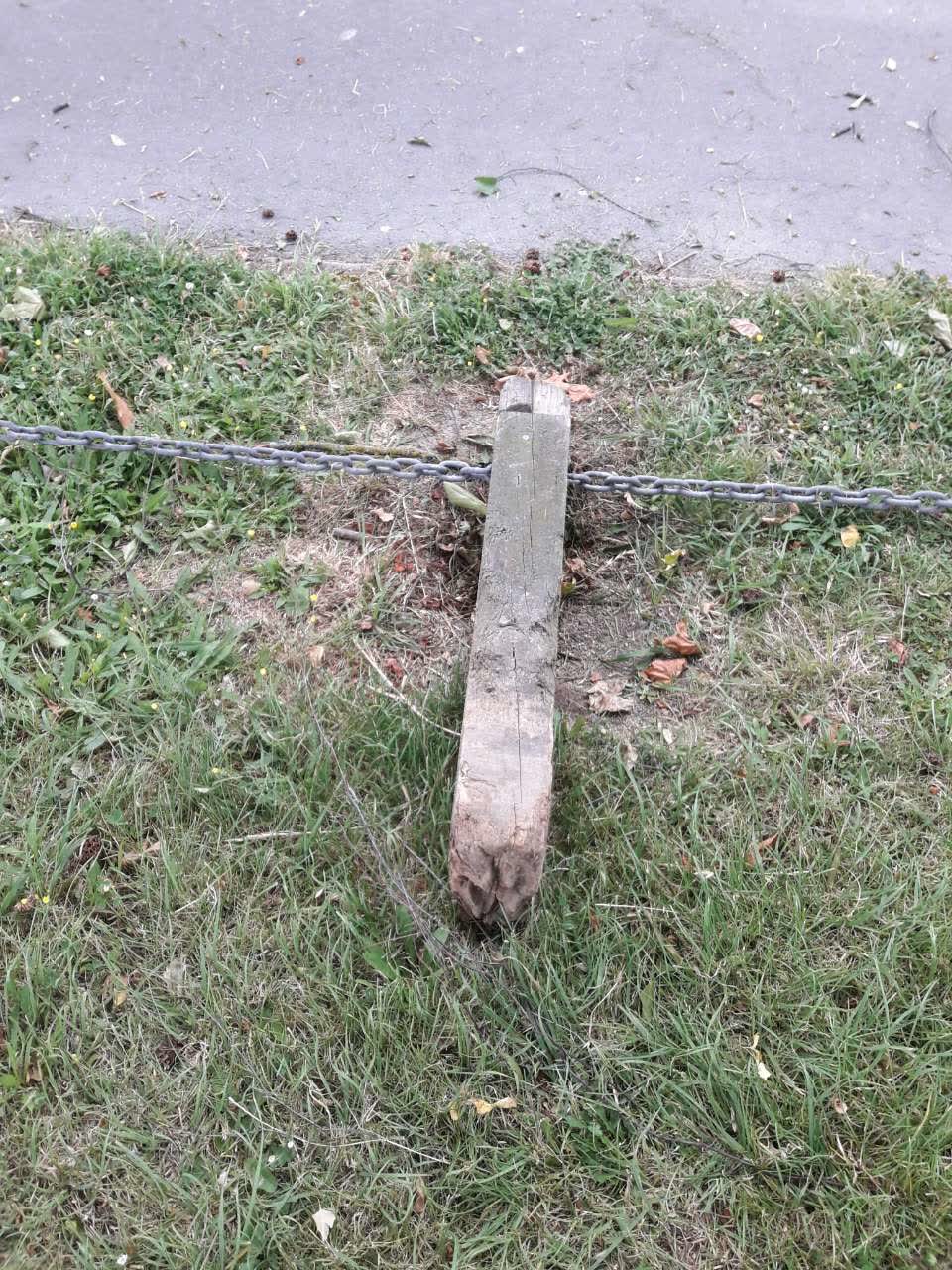 The photograph attached to this parks report
