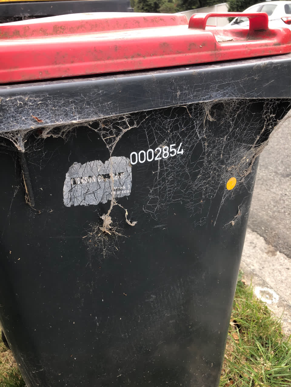 The photograph attached to this rubbish/recycling report