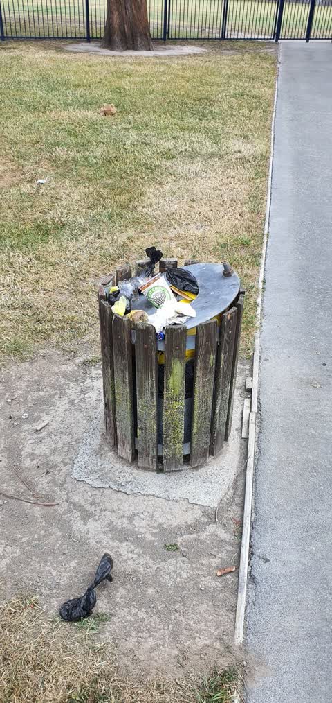 Rubbish/Recycling, a report photo