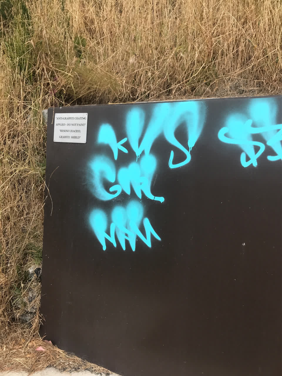 The photograph attached to this graffiti report