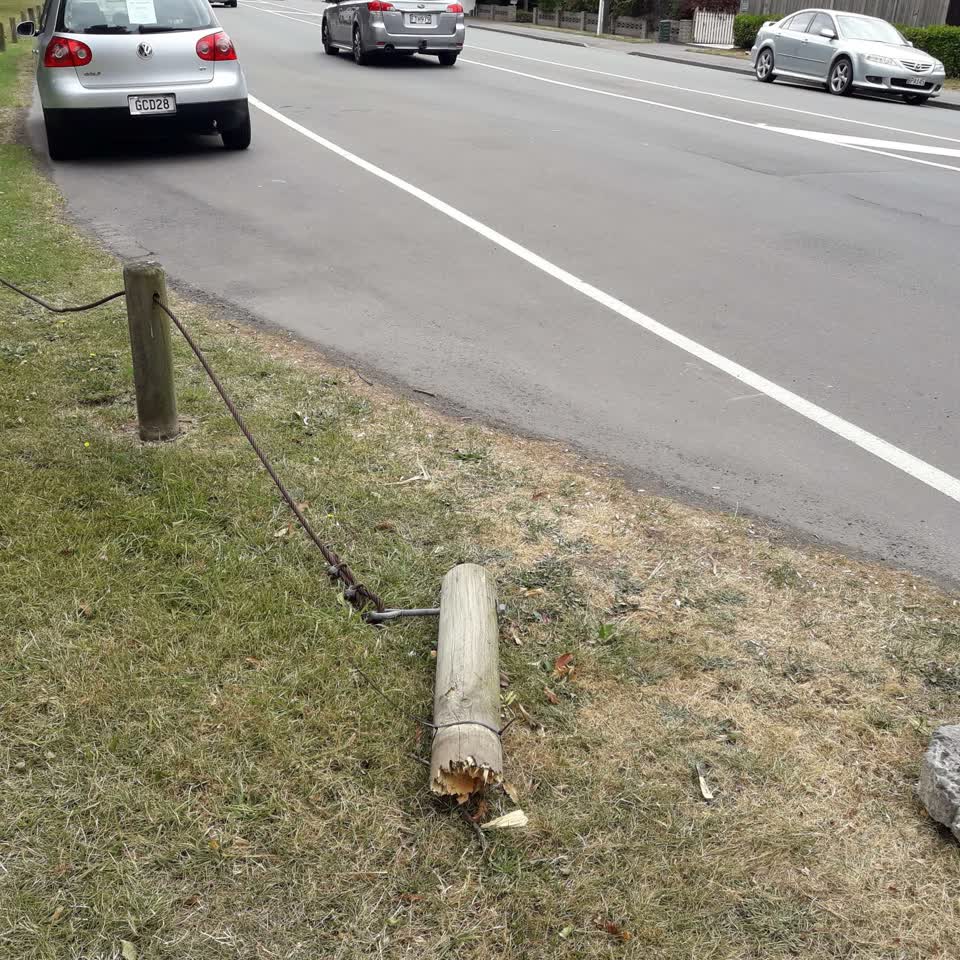 The photograph attached to this parks report