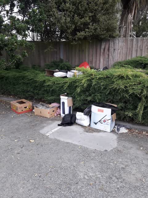 Parks, a report photo