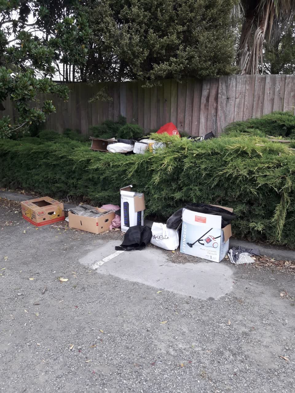 The photograph attached to this parks report