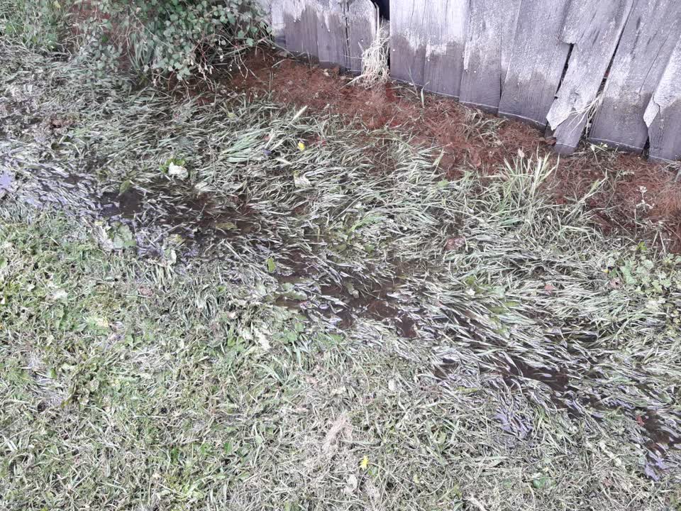 The photograph attached to this flooding report