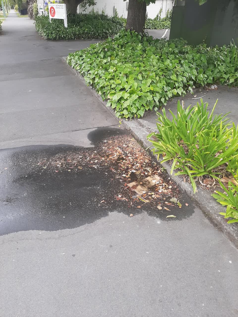The photograph attached to this water supply report