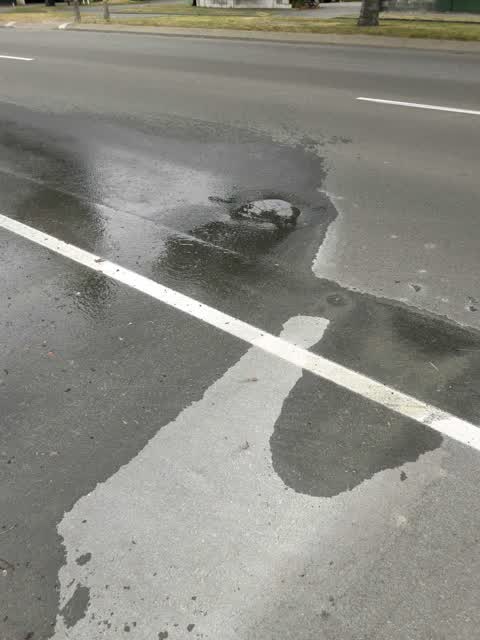 Roading/Streets, a report photo