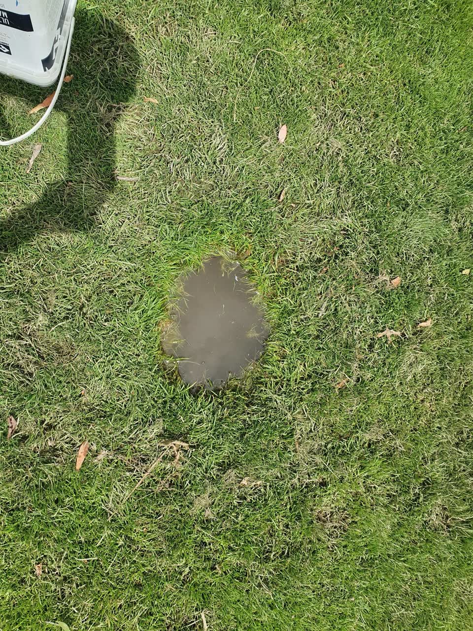 The photograph attached to this parks report