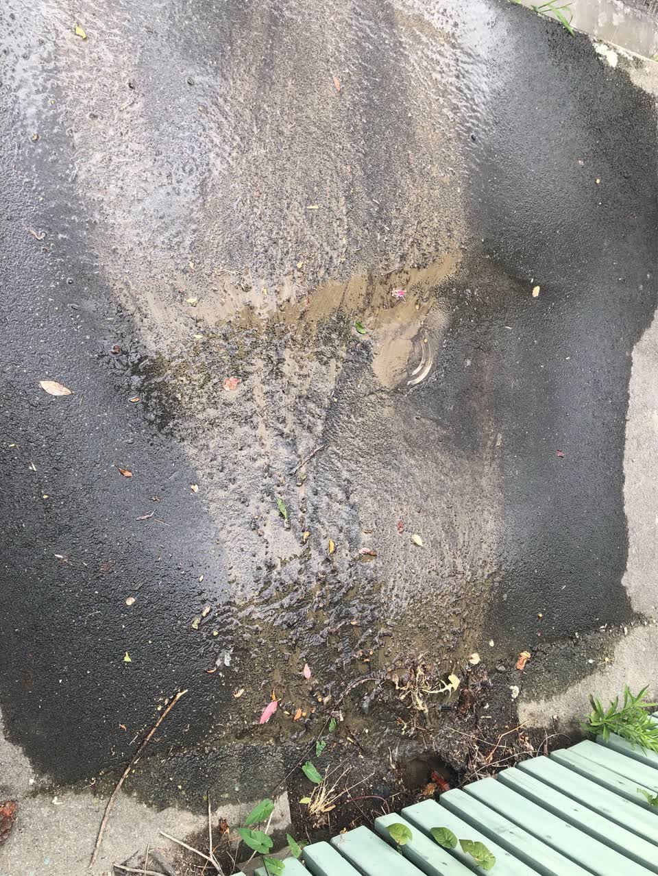 The photograph attached to this water supply report