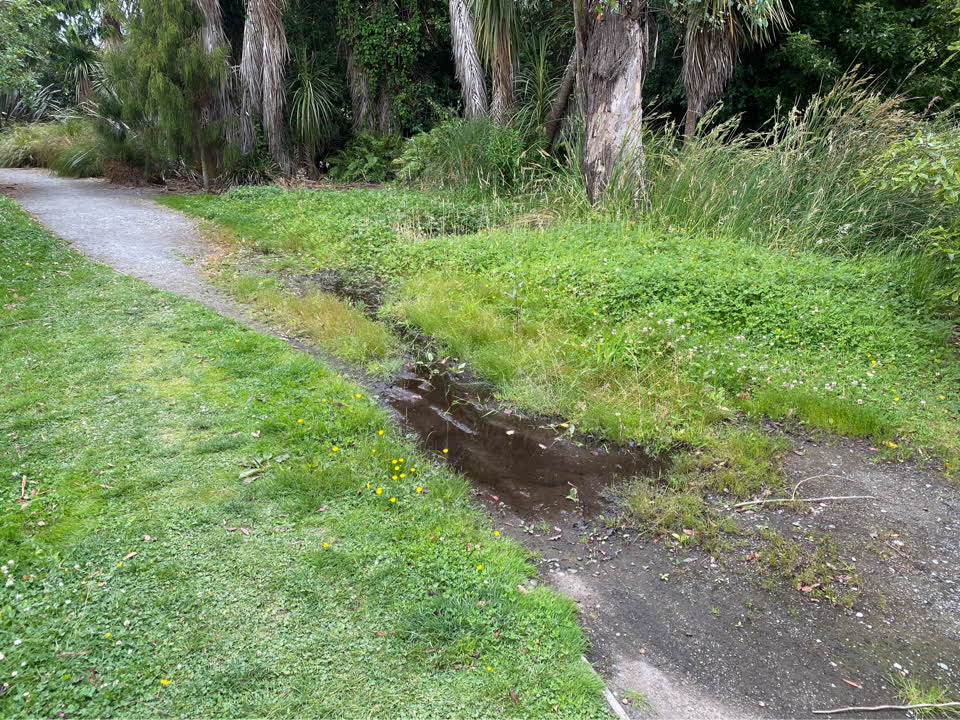 The photograph attached to this parks report