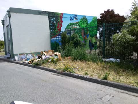 Graffiti, a report photo