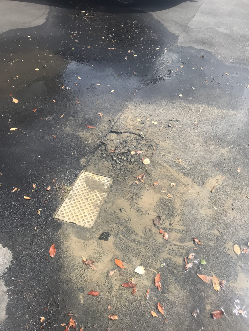The photograph attached to this wastewater/stormwater report