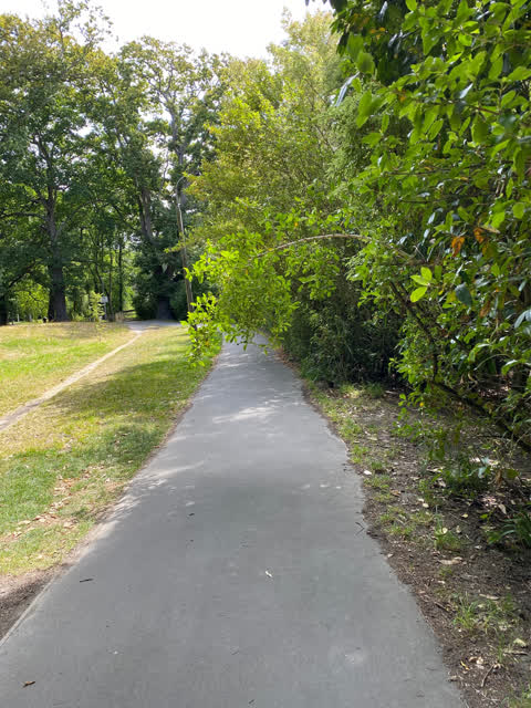 Parks, a report photo