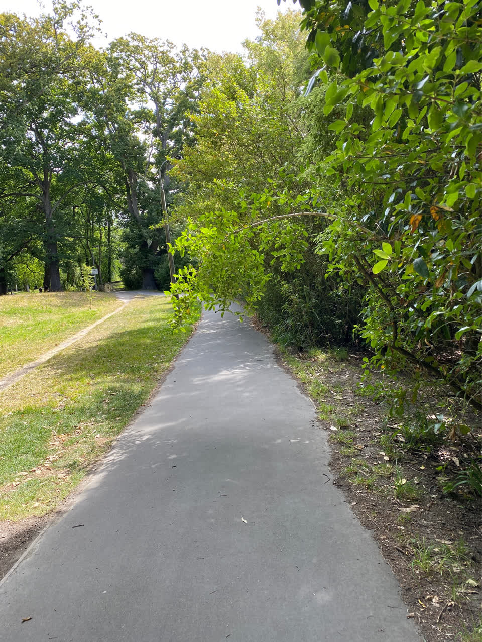 The photograph attached to this parks report
