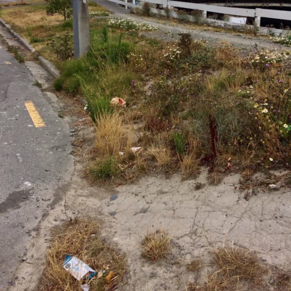 The photograph attached to this roading/streets report