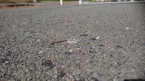 Roading/Streets, a report photo
