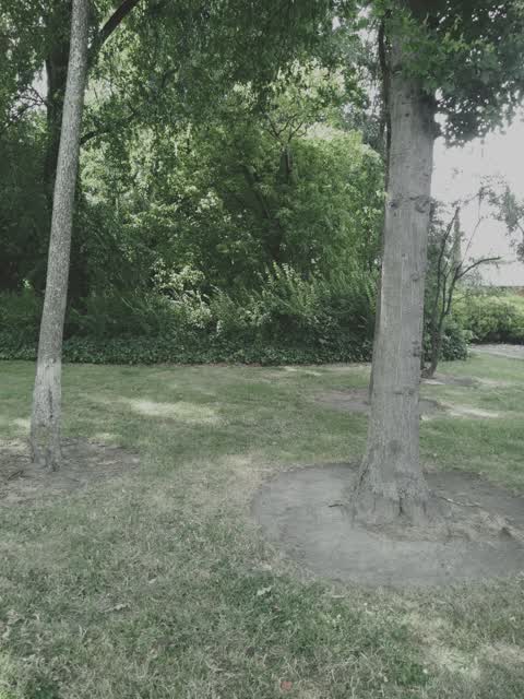 Parks, a report photo
