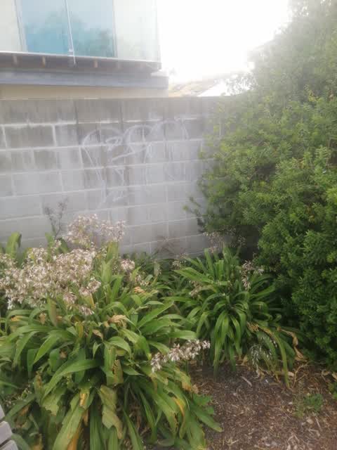 Graffiti, a report photo
