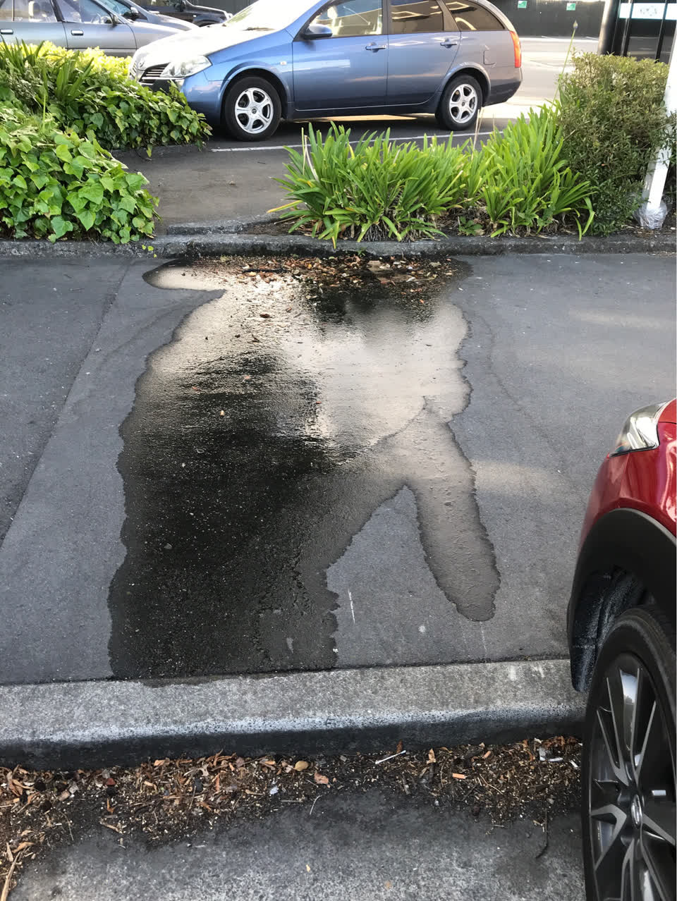 The photograph attached to this water supply report