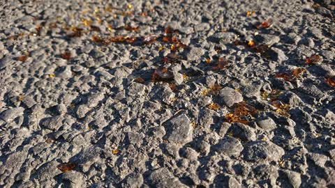 Roading/Streets, a report photo