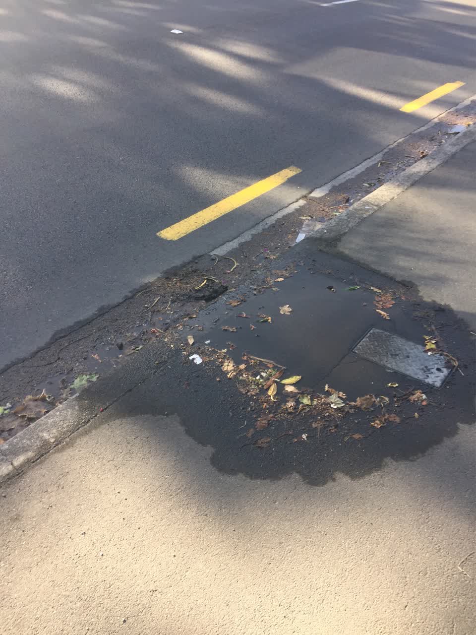 The photograph attached to this water supply report