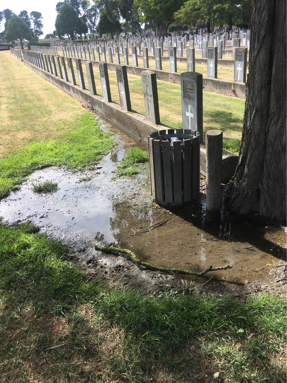 The photograph attached to this parks report
