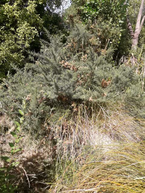 Parks, a report photo