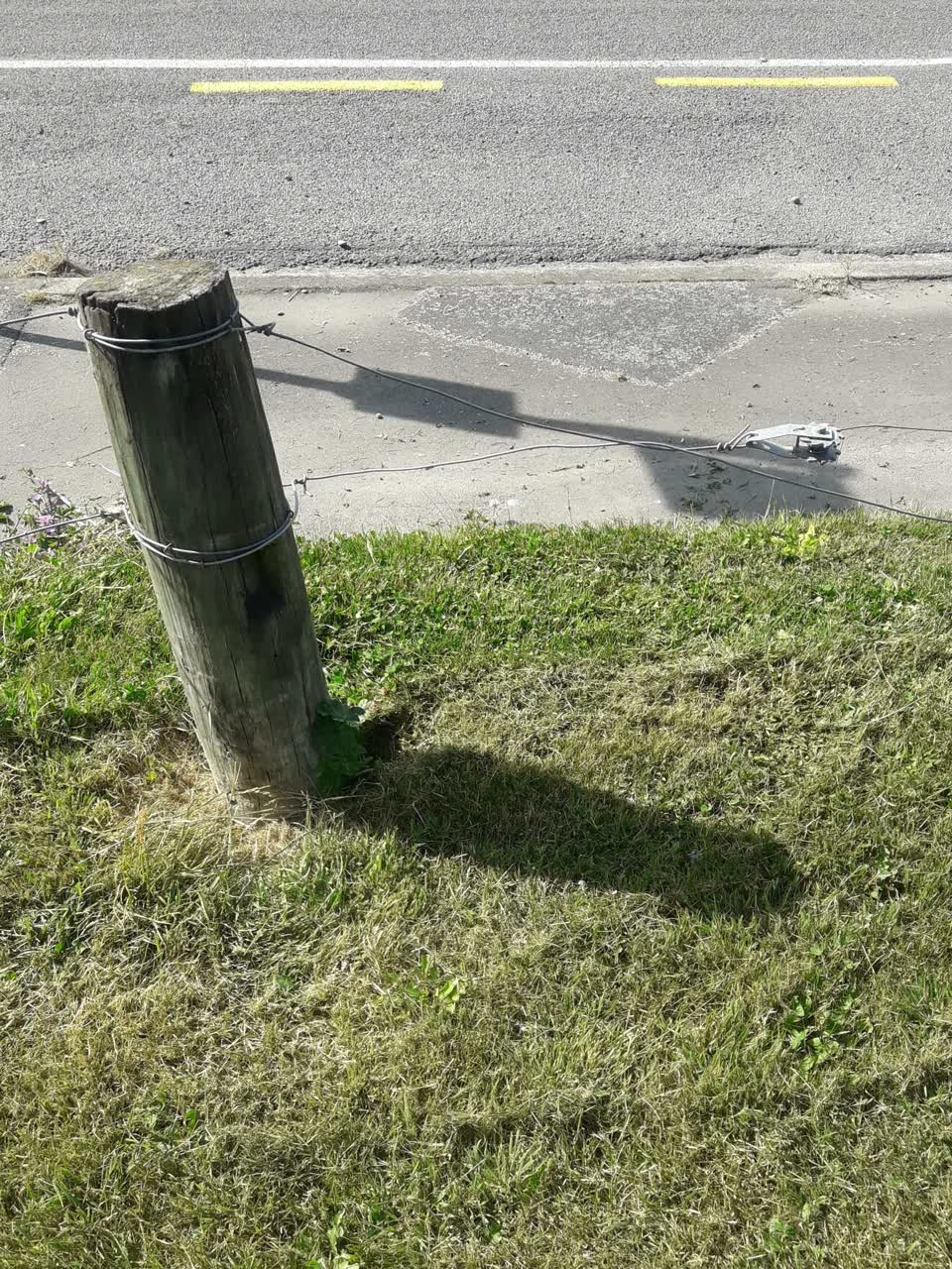 The photograph attached to this parks report