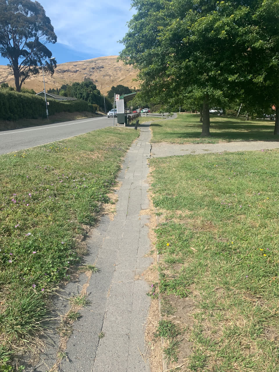The photograph attached to this parks report