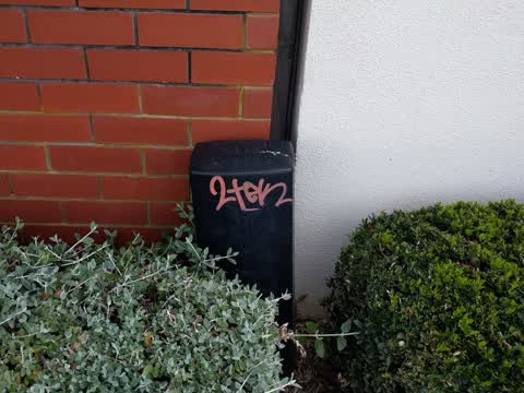 Graffiti, a report photo