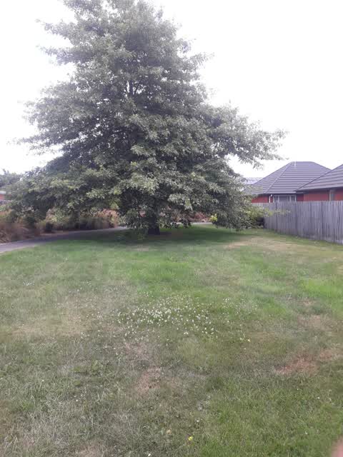 Parks, a report photo