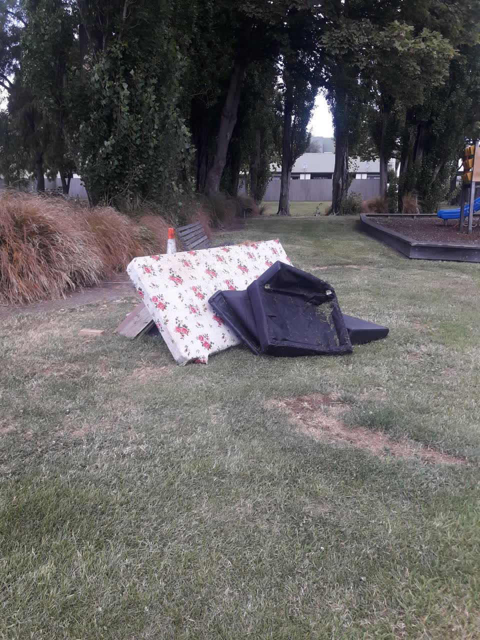The photograph attached to this parks report