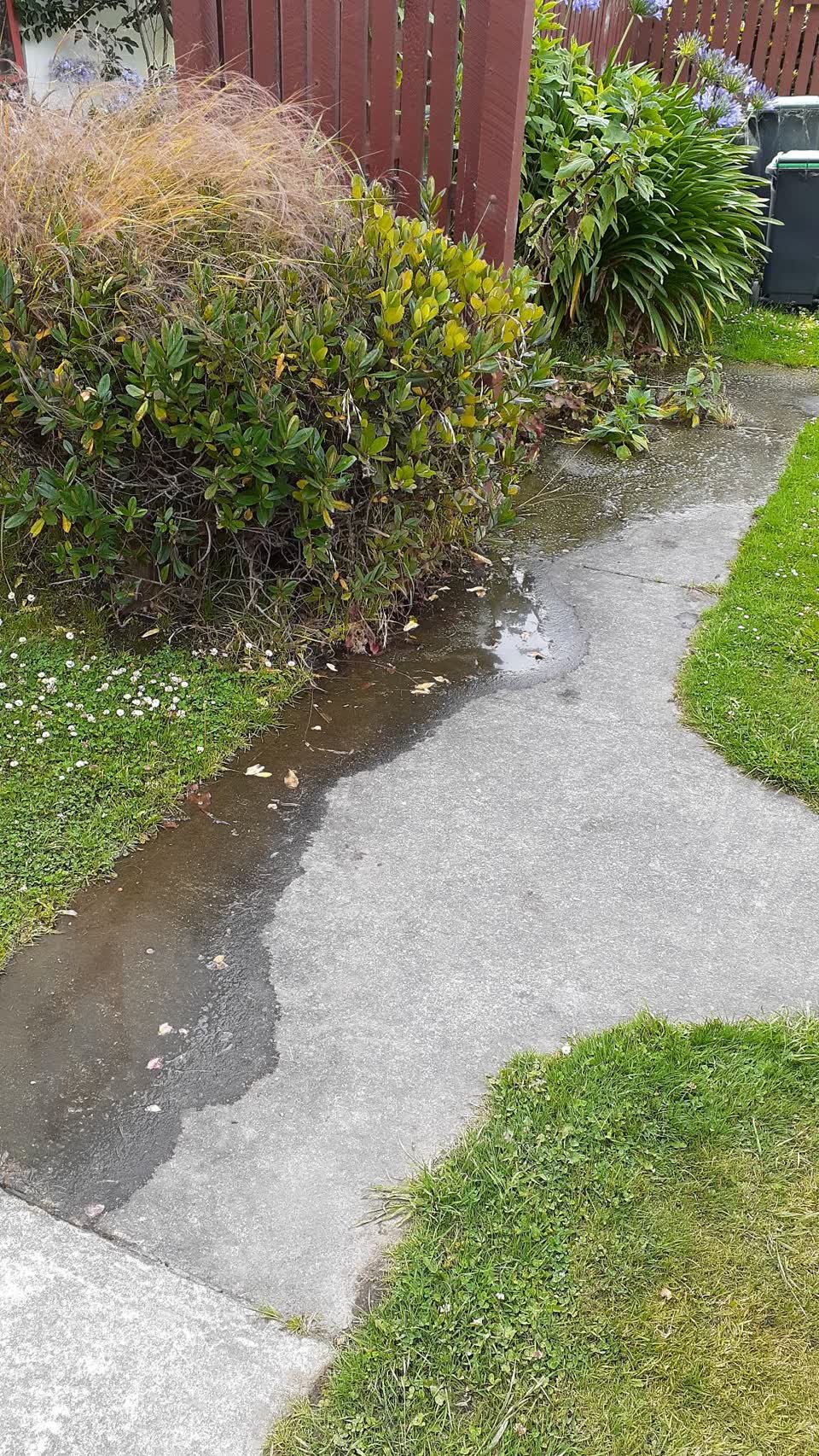 The photograph attached to this flooding report