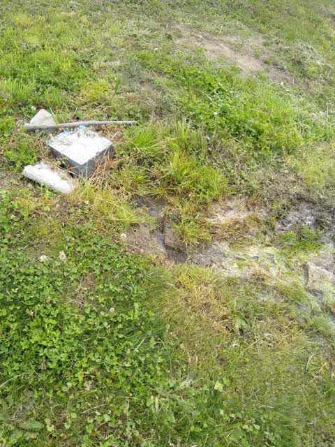 Water Supply, a report photo