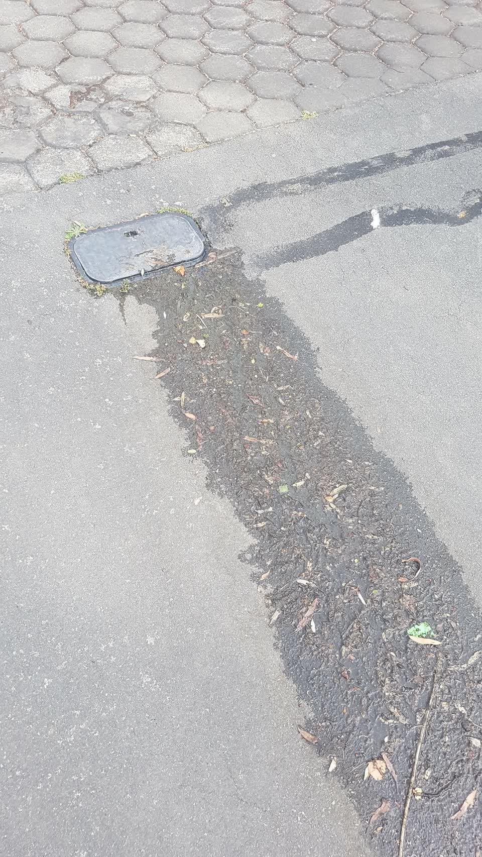 The photograph attached to this water supply report