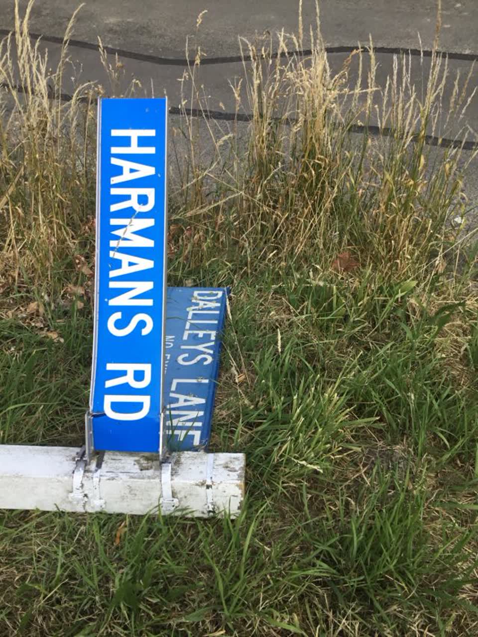 The photograph attached to this roading/streets report