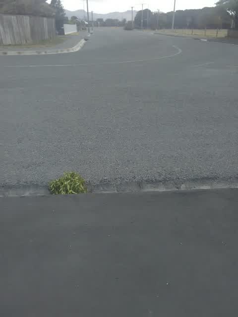 Roading/Streets, a report photo