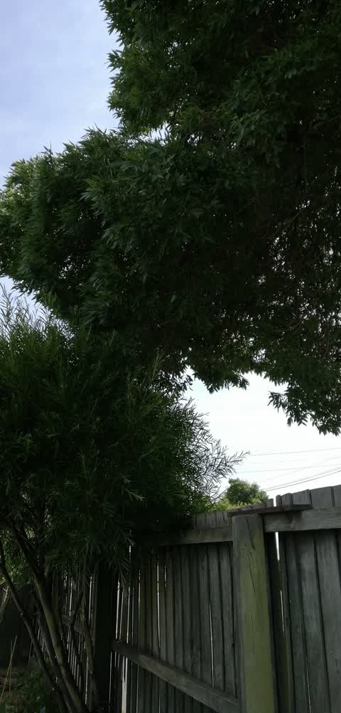 Roading/Streets, a report photo