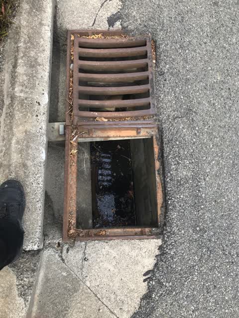 Roading/Streets, a report photo