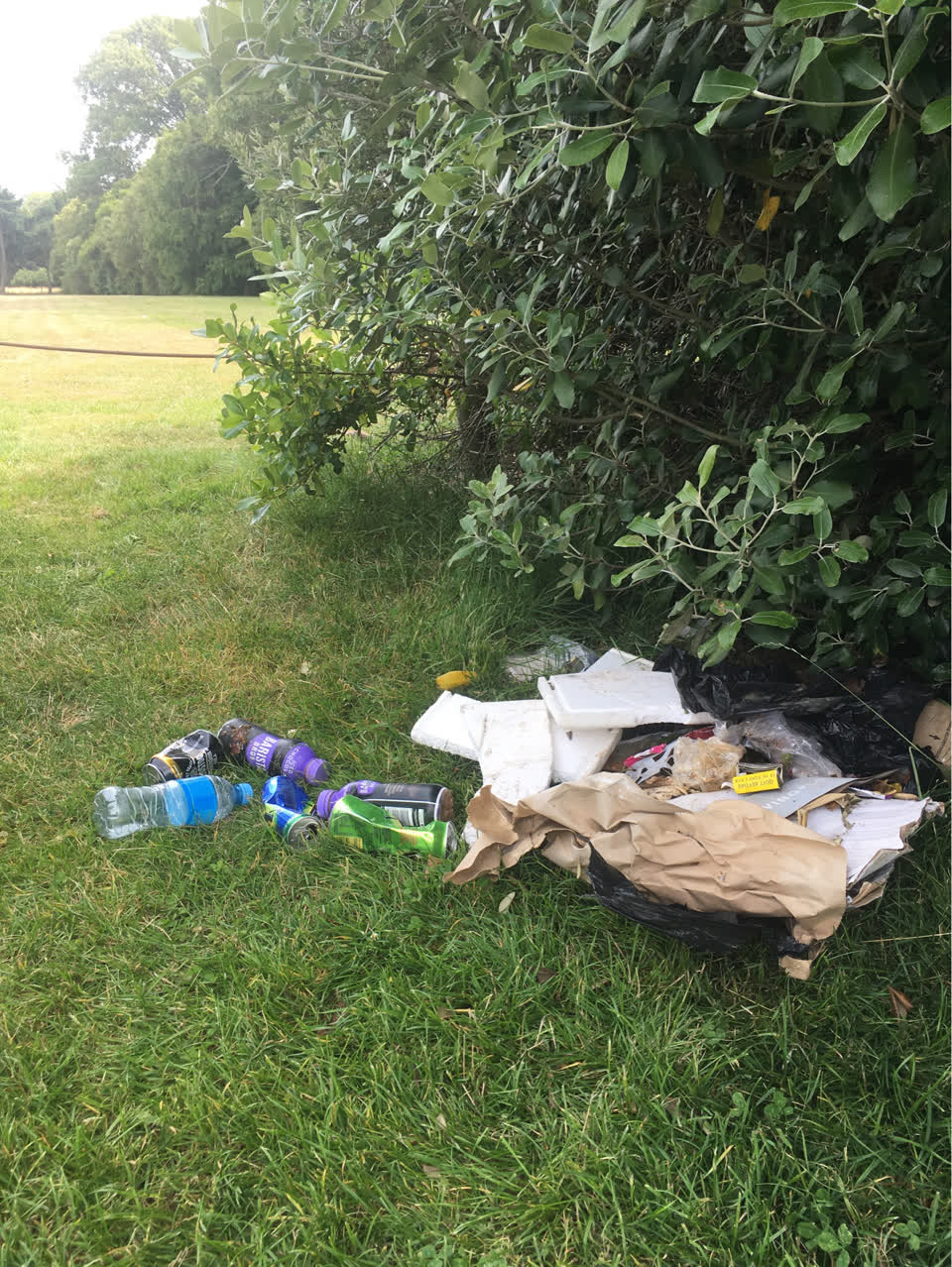 The photograph attached to this parks report