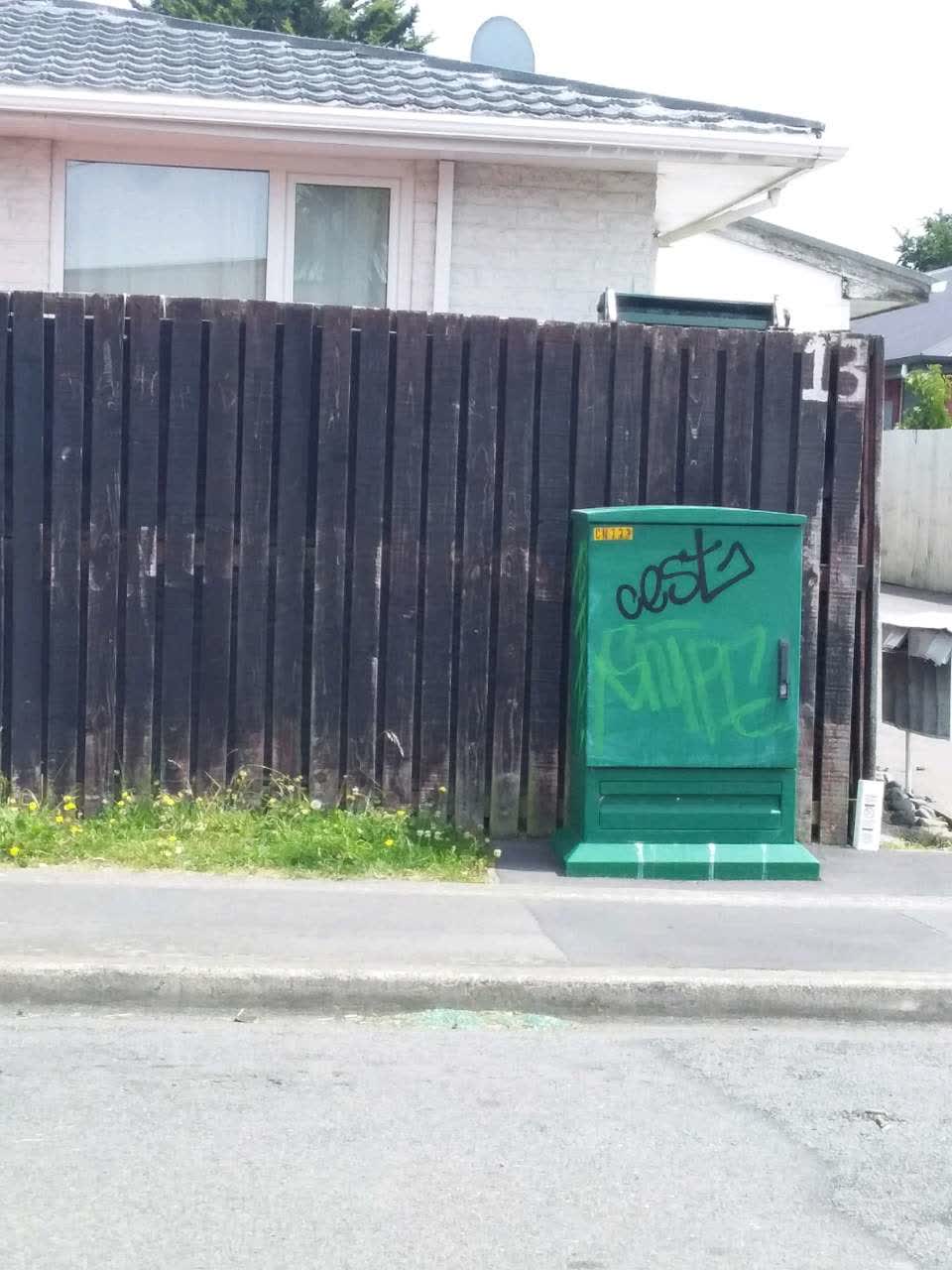 The photograph attached to this graffiti report