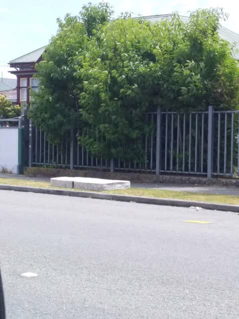 Rubbish/Recycling, a report photo